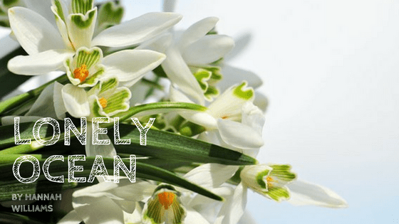 Sunday Stanza: Poem Two- Lonely Ocean By Hannah&nbsp;Williams