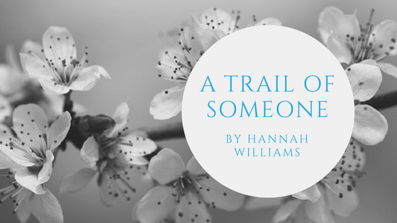 Sunday Stanza: Poem One- A Trail Of Someone By Hannah&nbsp;Williams