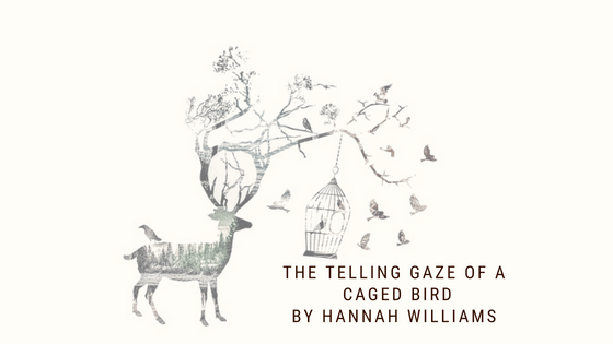 Prose/Short Story: The Telling Gaze Of A Caged&nbsp;Bird