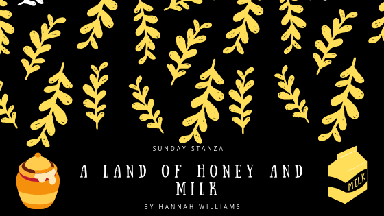 Sunday Stanza: Poem Fifty Four: A Land of Honey and Milk by Hannah&nbsp;Williams